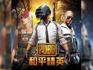 Pubg icon